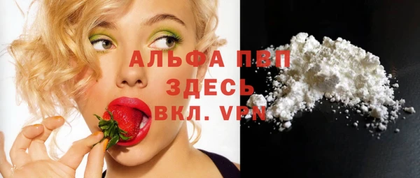 стаф Магадан
