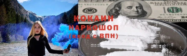 гидра Майский