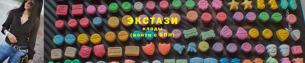 гидра Майский