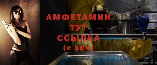 гидра Майский