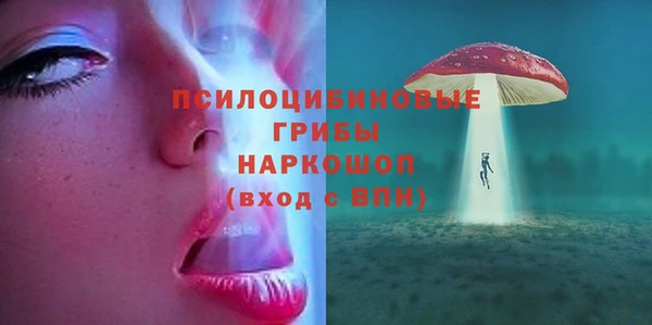 стаф Магадан