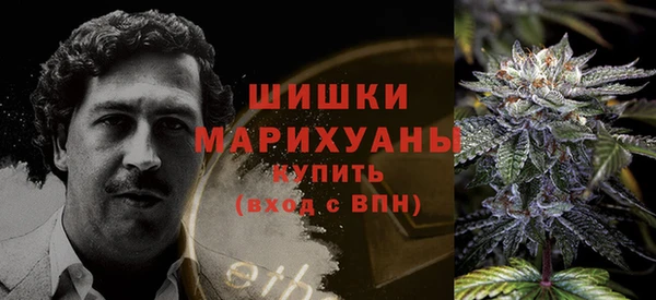 стаф Магадан